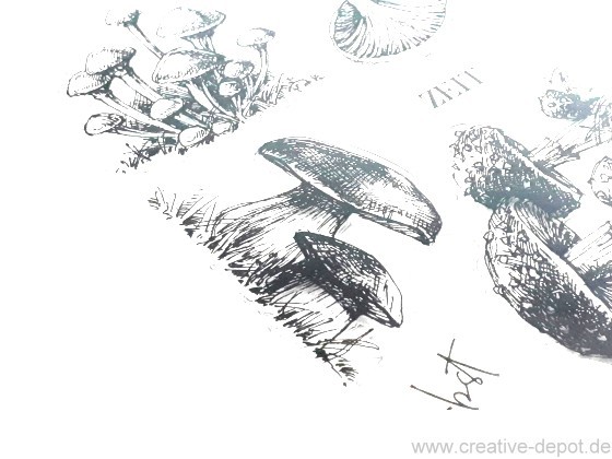 Skizzen Pilze Ausschnitt