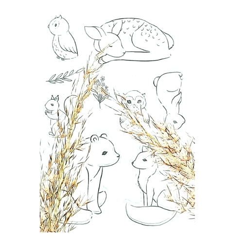 Stempelset - Junge Waldbewohner Skizzen