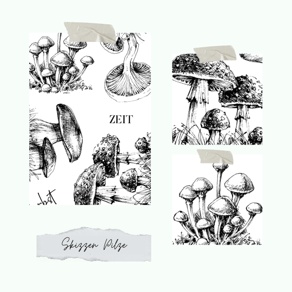 Stempelset Skizzen Pilze - Nur noch so lange der Vorrat reicht