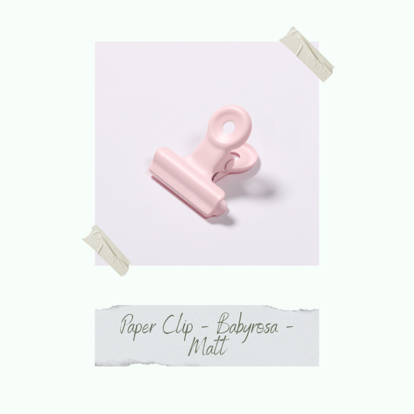 Paper Clip - Babyrosa