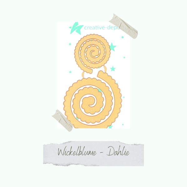 Die - Wickelblume - Dahlie