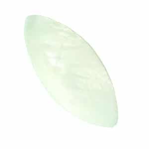 Muschel Perle Ovale Mint