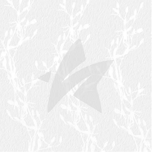 Designpapier - Weiße Zweige - 15,2 x 15,2 cm